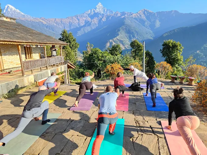 Poon hill yoga trek: a himalayan journey for mind, body & soul 1 Bodhidham best yoga in pokhara
